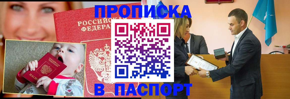 прописка поиск в Тереке